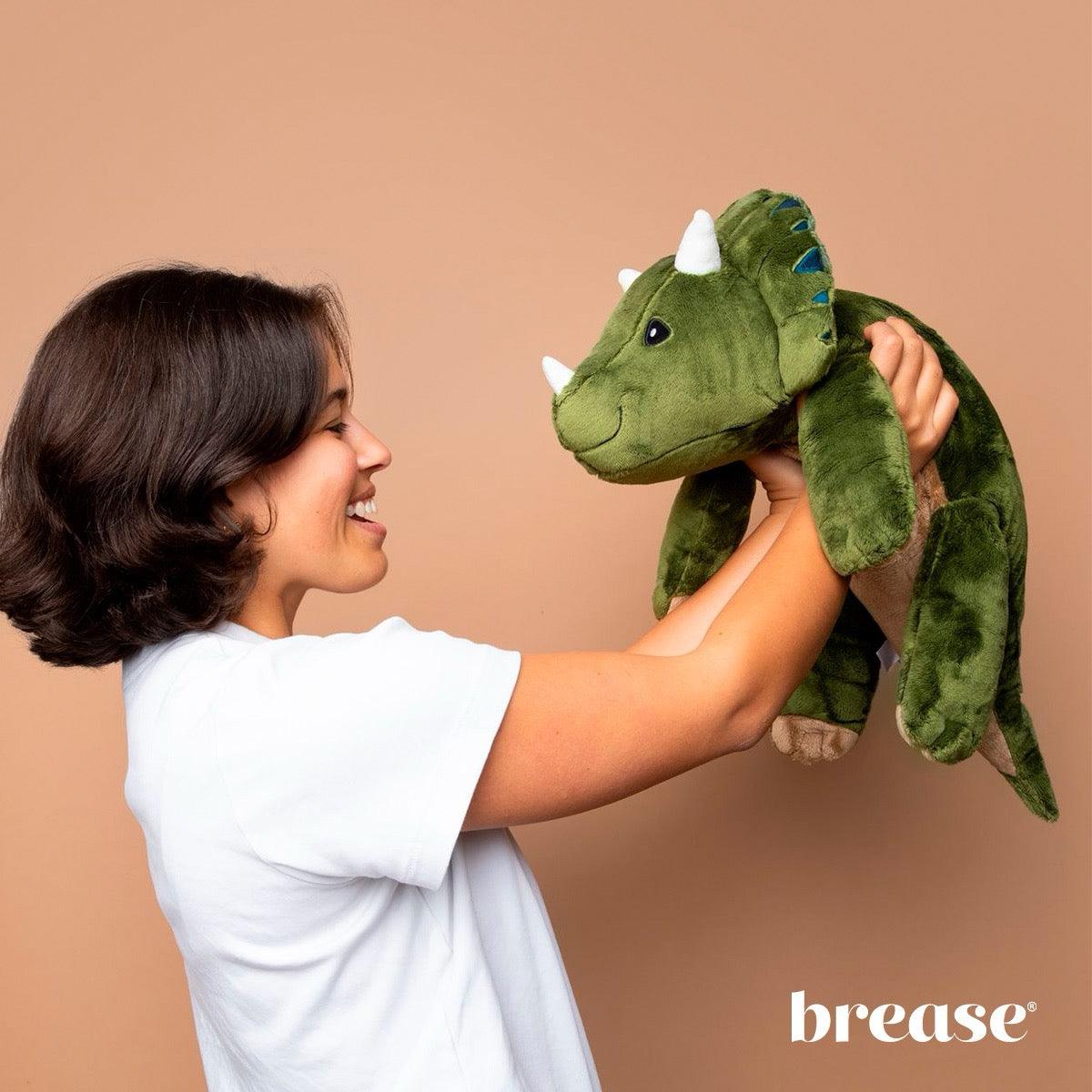 Weighted Dinosaur 5lb