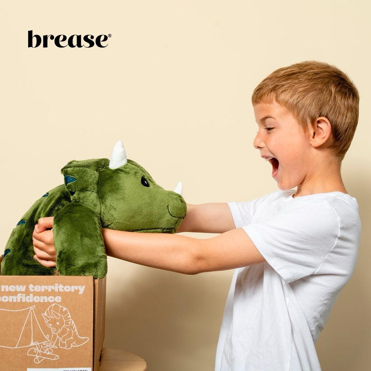 Weighted Dinosaur 5lb