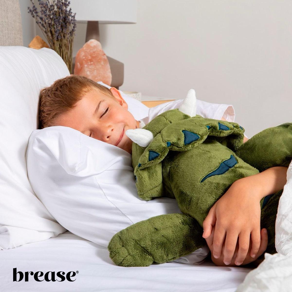 Weighted Dinosaur 5lb
