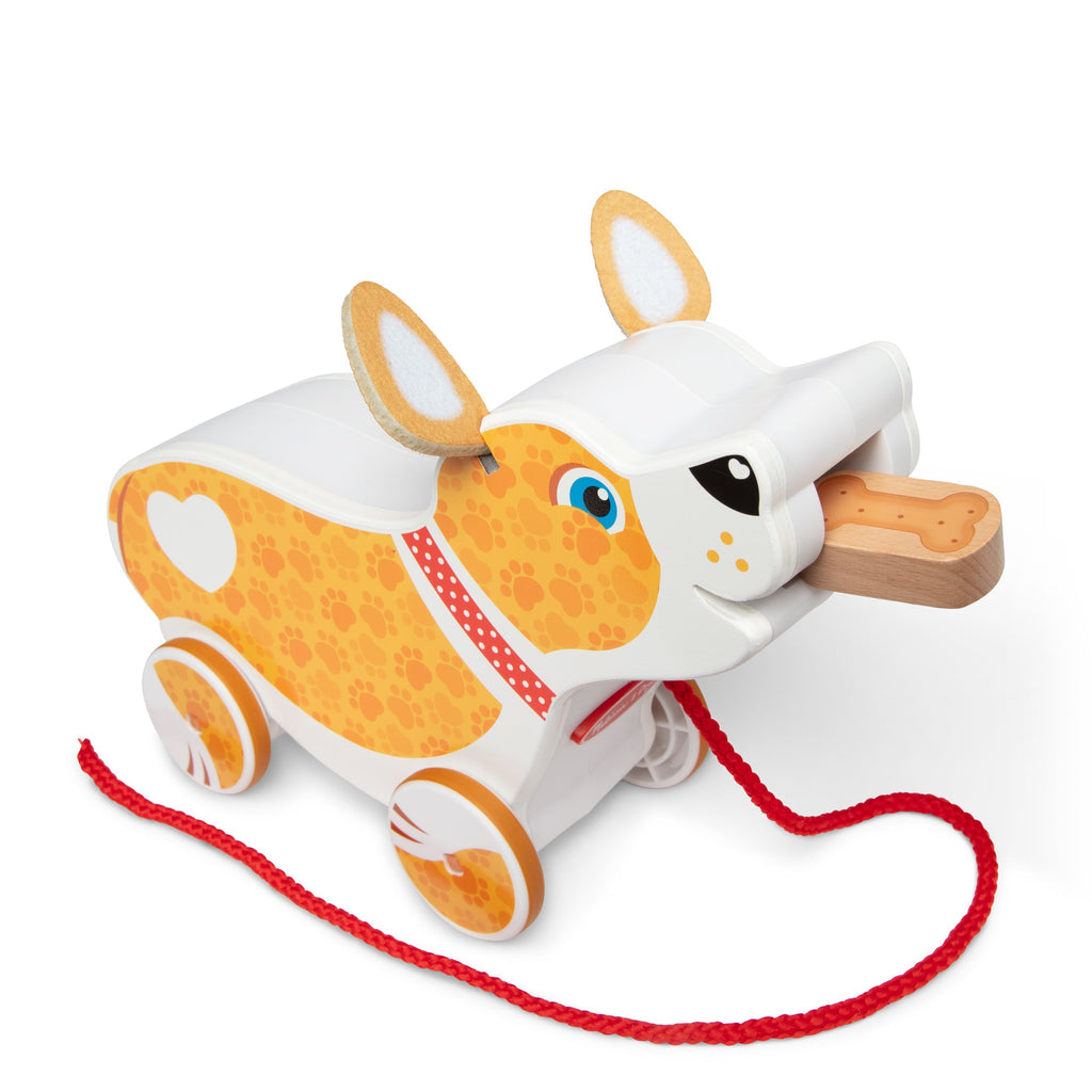 Feed, Walk & Poo Pup Play Set