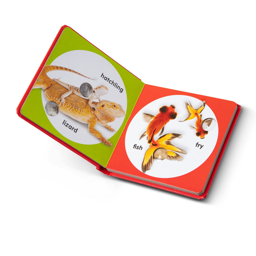 Poke-a-Dot: Pet Families Board Book