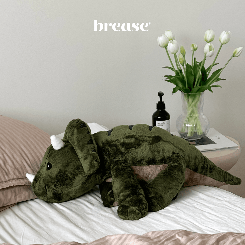 Weighted Dinosaur 5lb