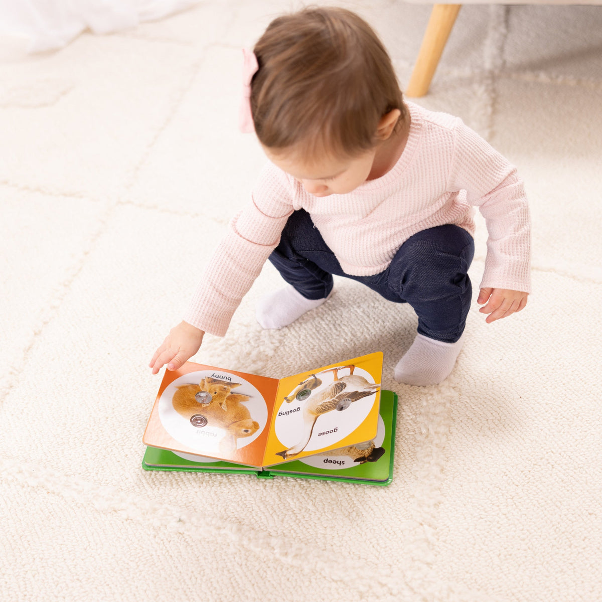 Poke-a-Dot: Farm Animal Families Board Book