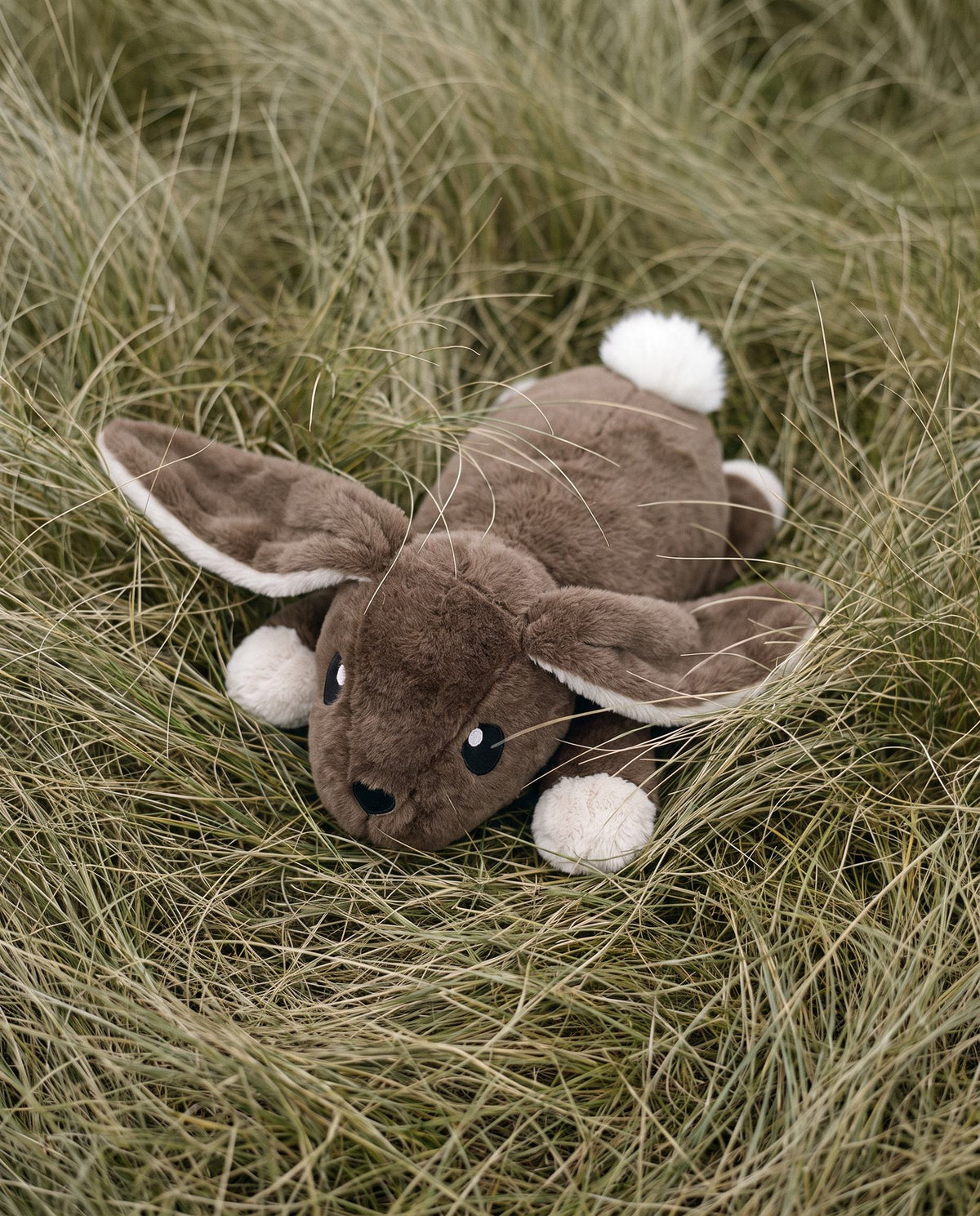Weighted Rabbit 5 lb